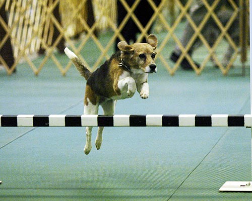 Look At Me GO!!! 